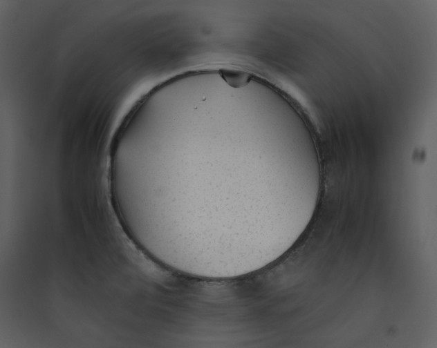 X0000089361472200707131605
