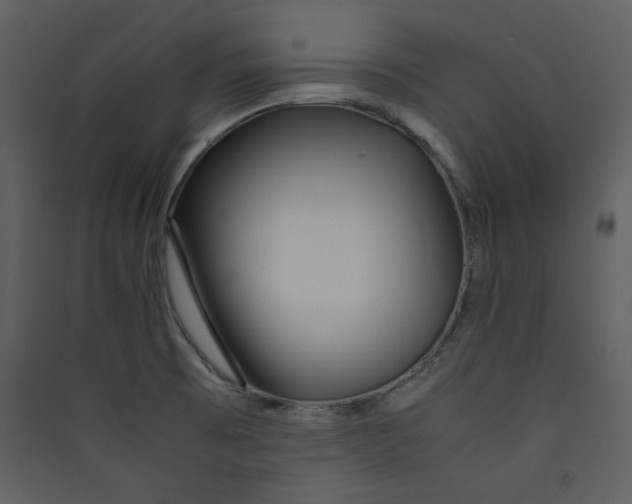 X0000089361473200707131605