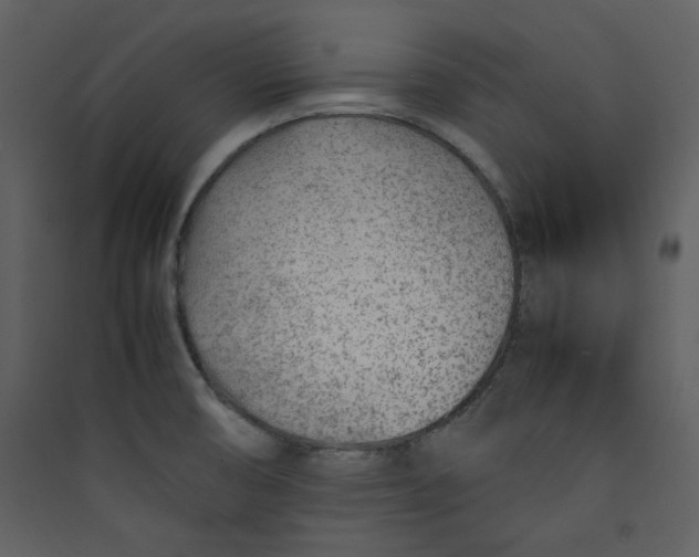 X0000089361474200707131605