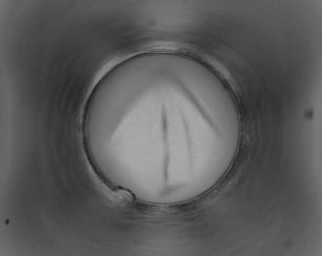 X0000089361475200707131605