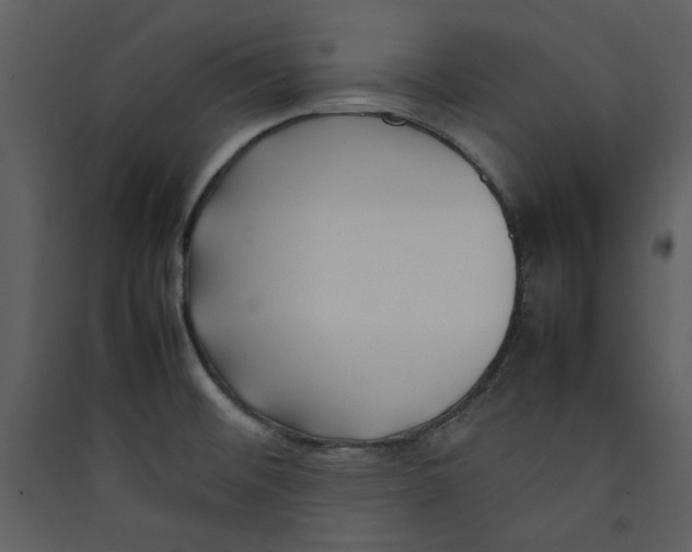 X0000089361476200707131605