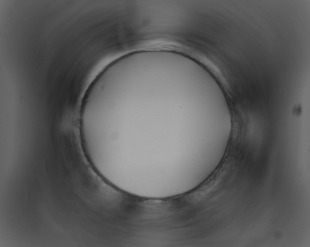 X0000089361478200707131605
