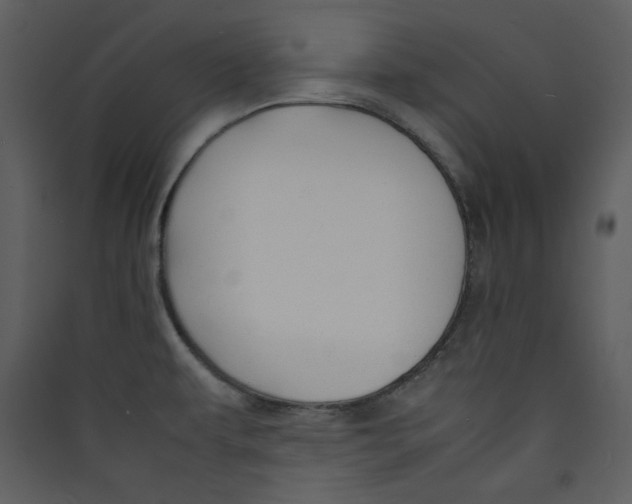 X0000089361479200707131605