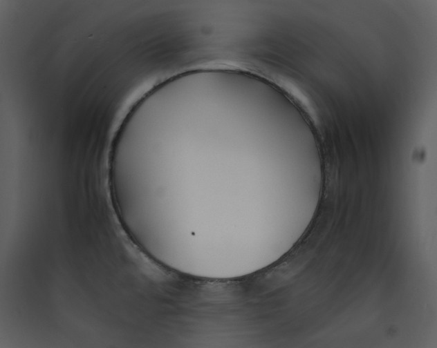 X0000089361480200707131605