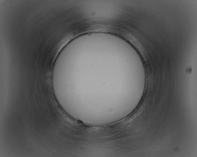 X0000089361481200707131605