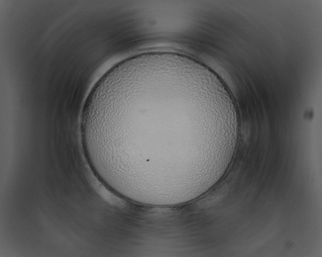 X0000089361482200707131605