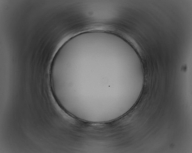 X0000089361483200707131605