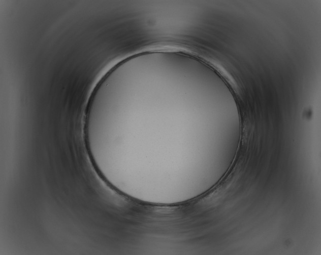 X0000089361484200707131605