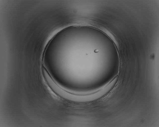 X0000089361485200707131605