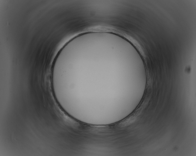 X0000089361486200707131605
