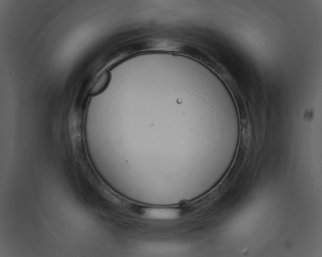 X0000089361487200707131605