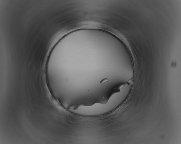 X0000089361488200707131605
