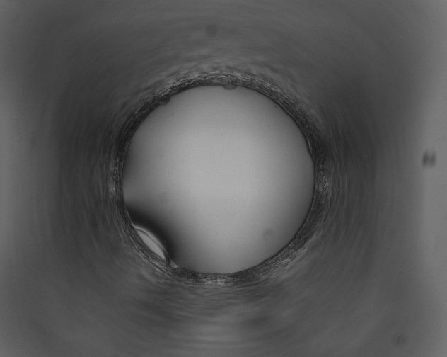 X0000089361490200707131604