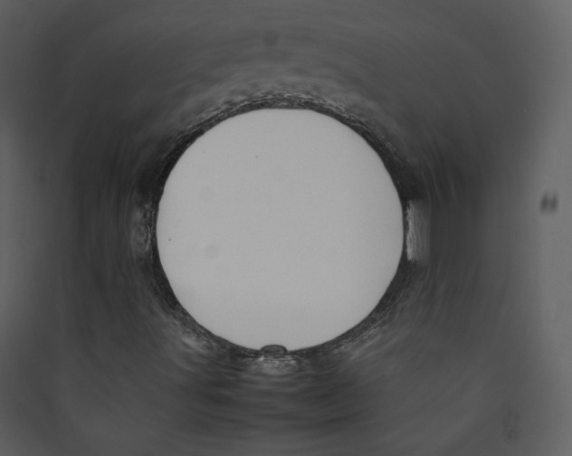 X0000089361491200707131604