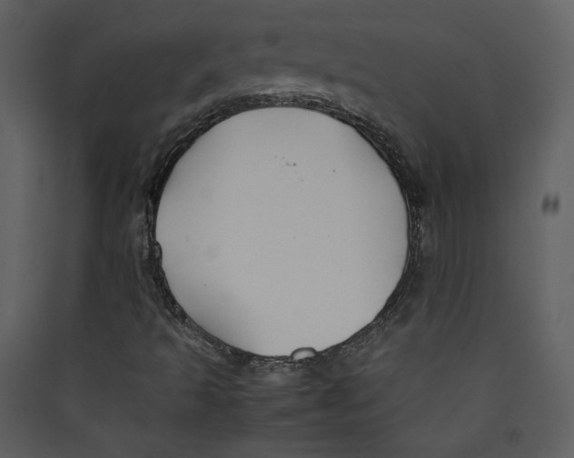 X0000089361493200707131604