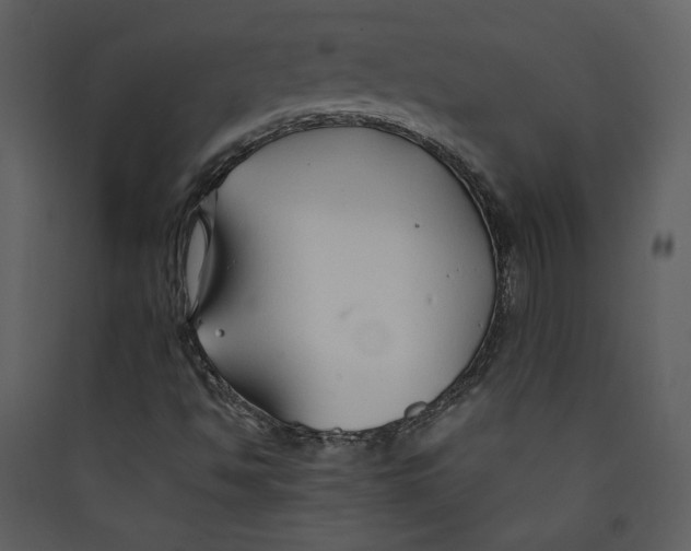 X0000089361494200707131604