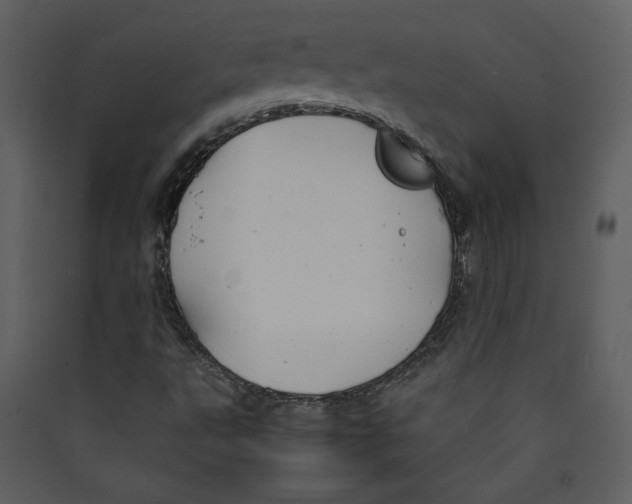 X0000089361495200707131604