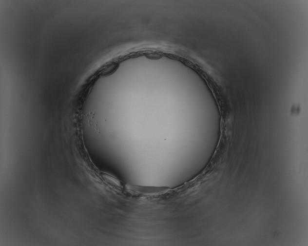 X0000089361496200707131604
