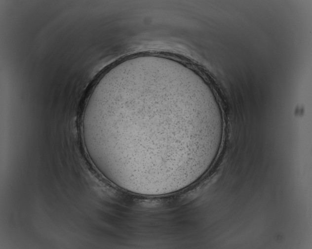 X0000089361497200707131604