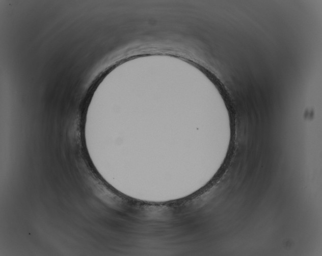 X0000089361498200707131604
