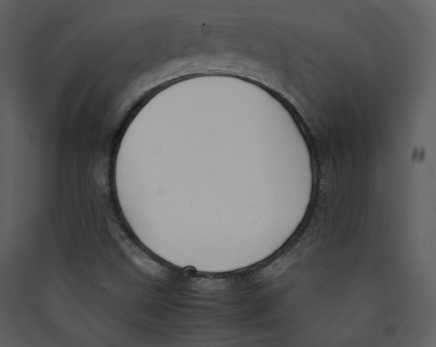 X0000089361499200707131604