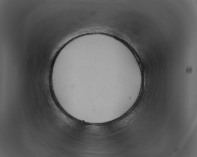 X0000089361500200707131604