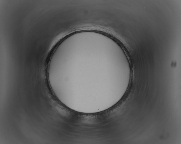 X0000089361501200707131604