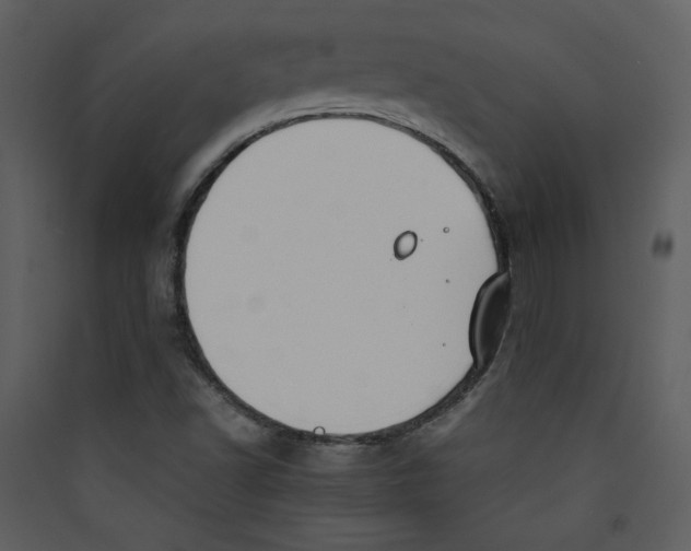 X0000089361502200707131604