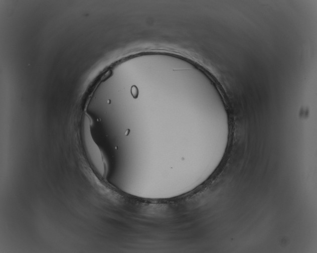 X0000089361503200707131604