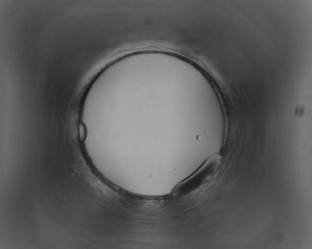 X0000089361504200707131604