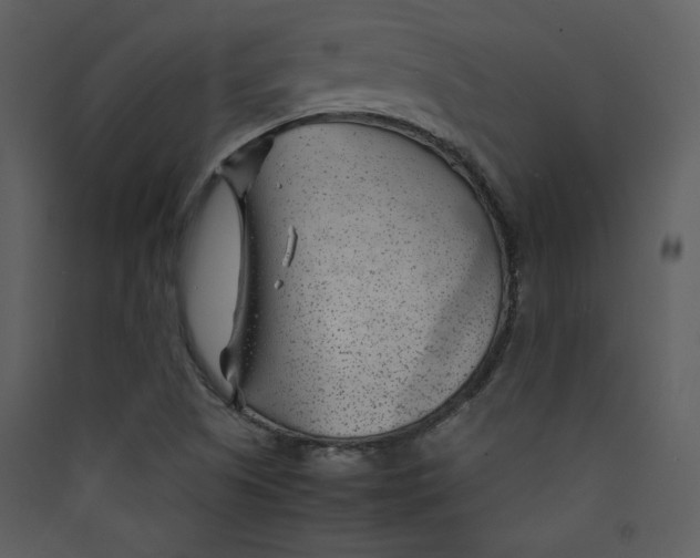 X0000089361505200707131604