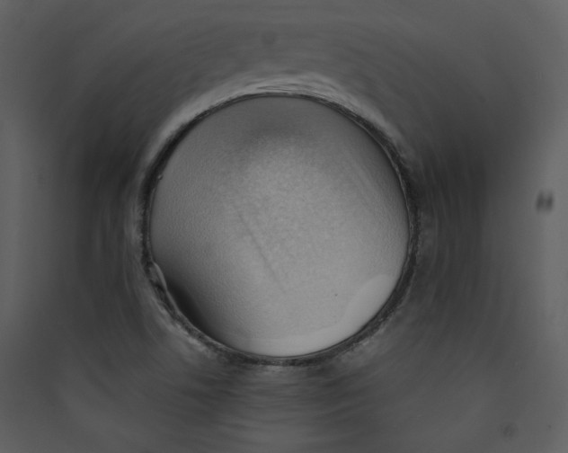 X0000089361506200707131604