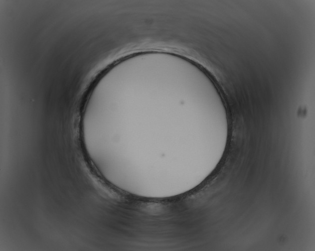 X0000089361507200707131604