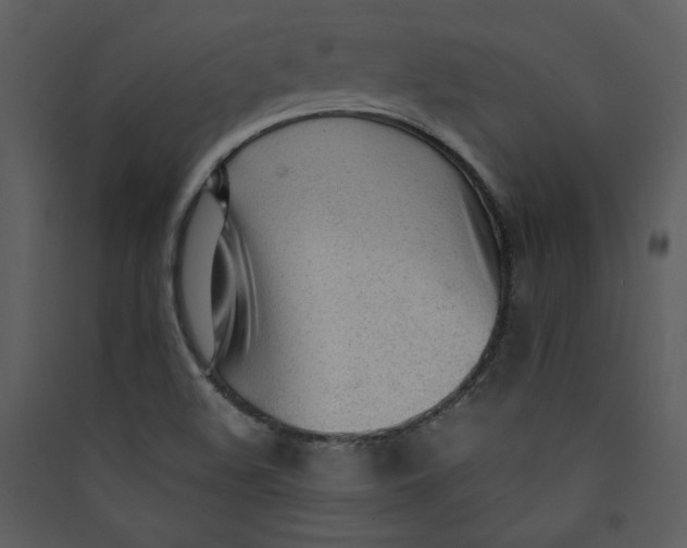 X0000089361508200707131604