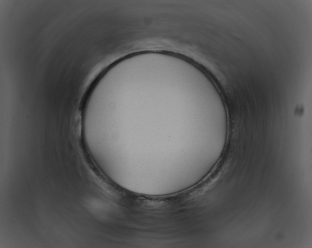 X0000089361509200707131604