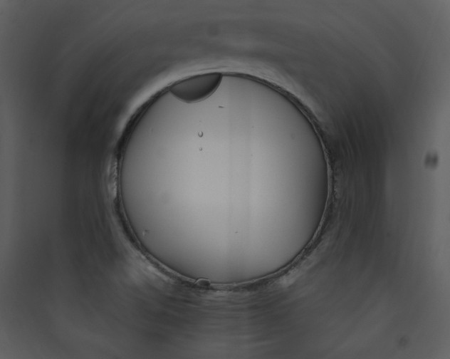 X0000089361510200707131604