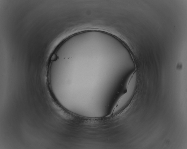 X0000089361511200707131604
