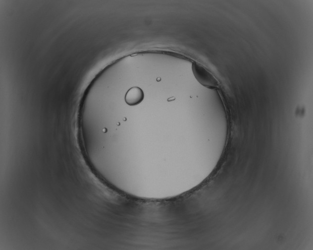 X0000089361512200707131604