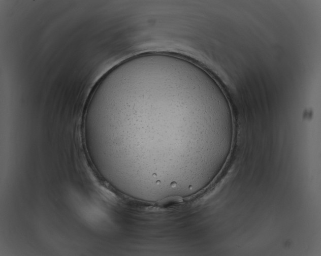 X0000089361513200707131604