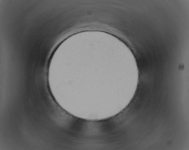 X0000089361514200707131604