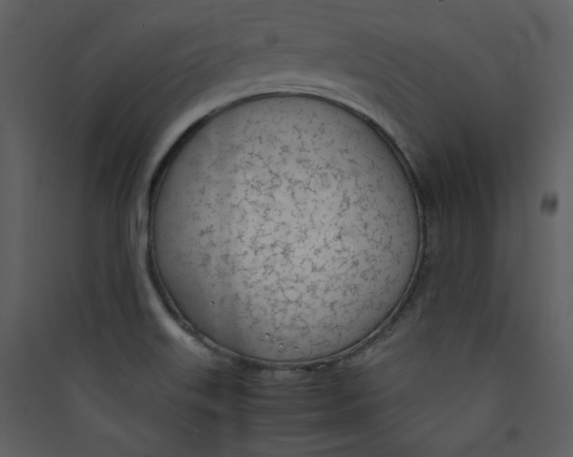 X0000089361515200707131604