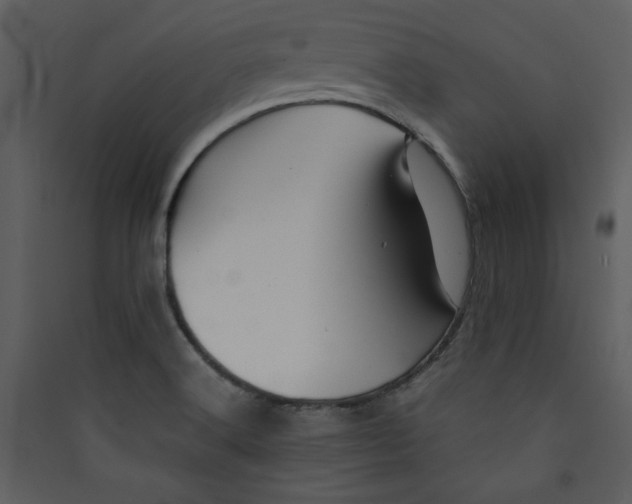 X0000089361516200707131604