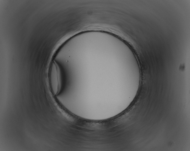 X0000089361517200707131604