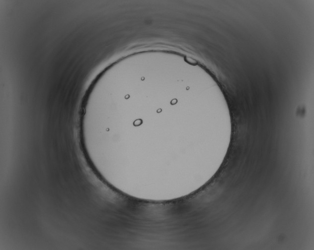 X0000089361518200707131604