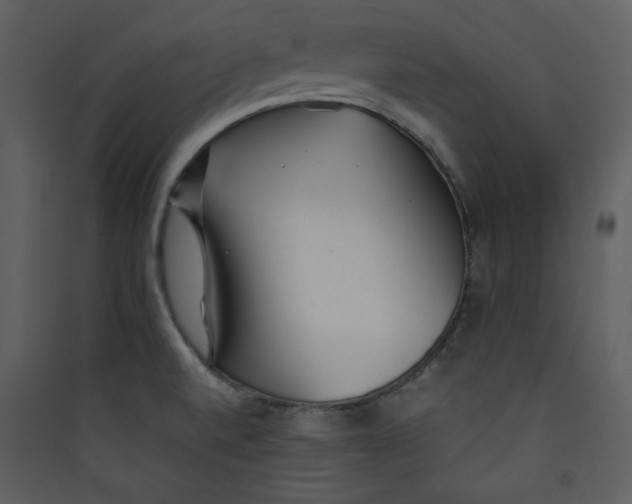 X0000089361520200707131604