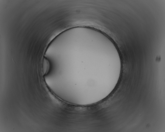 X0000089361521200707131604