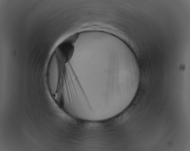 X0000089361522200707131604