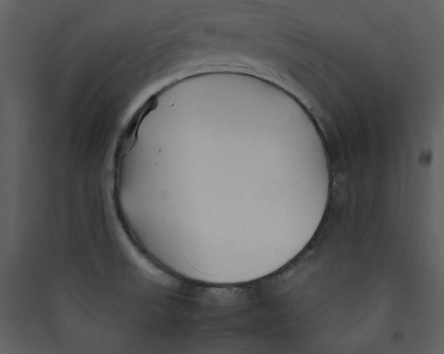 X0000089361523200707131604