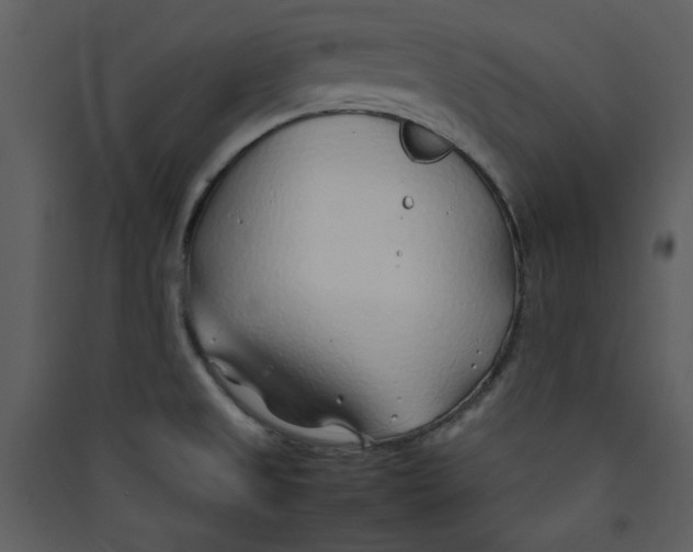 X0000089361525200707131604