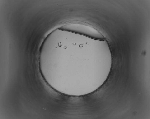 X0000089361526200707131604